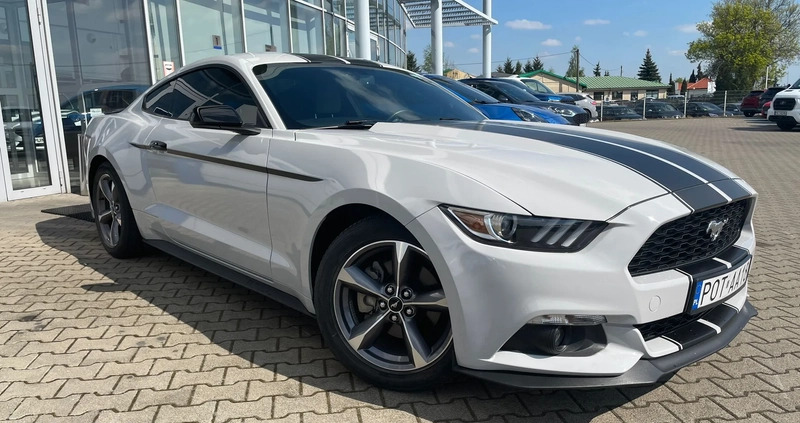 Ford Mustang cena 90000 przebieg: 83300, rok produkcji 2017 z Prusice małe 301